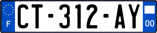 CT-312-AY