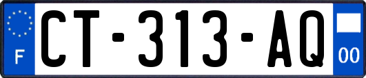 CT-313-AQ