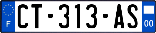 CT-313-AS