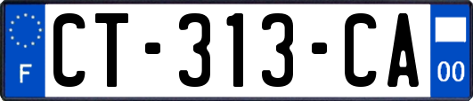 CT-313-CA