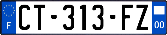 CT-313-FZ