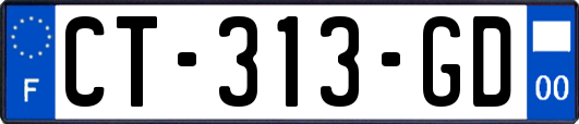 CT-313-GD