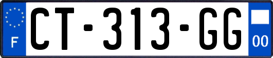 CT-313-GG