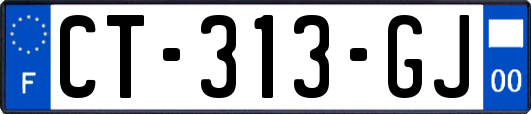 CT-313-GJ