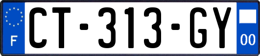CT-313-GY