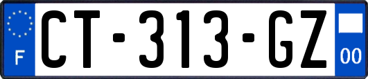 CT-313-GZ