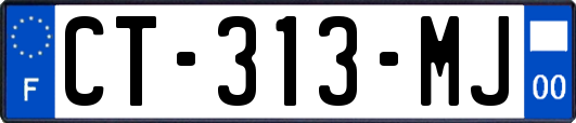 CT-313-MJ