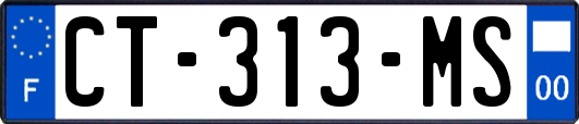 CT-313-MS