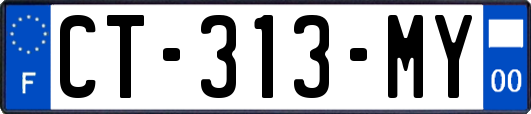 CT-313-MY