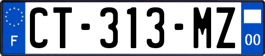 CT-313-MZ