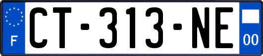 CT-313-NE