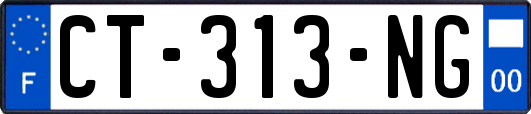 CT-313-NG