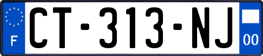 CT-313-NJ