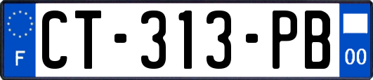 CT-313-PB