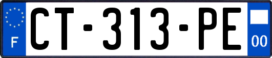 CT-313-PE