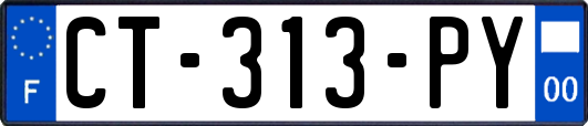 CT-313-PY