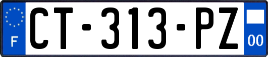 CT-313-PZ