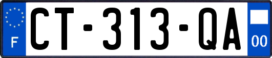CT-313-QA