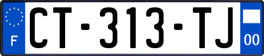 CT-313-TJ