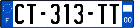 CT-313-TT