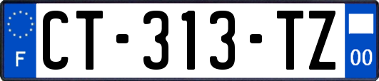 CT-313-TZ