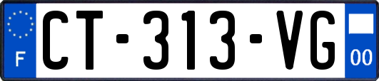 CT-313-VG