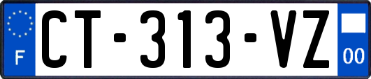 CT-313-VZ