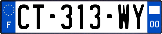 CT-313-WY