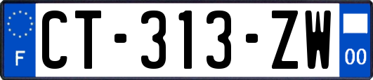 CT-313-ZW