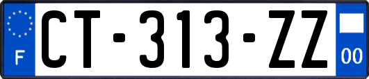 CT-313-ZZ