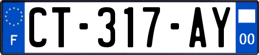 CT-317-AY