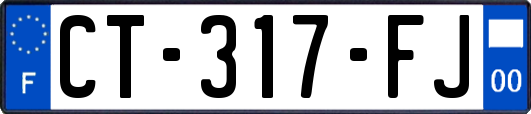 CT-317-FJ