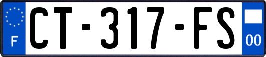 CT-317-FS