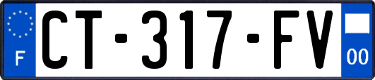 CT-317-FV
