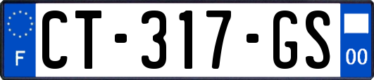 CT-317-GS