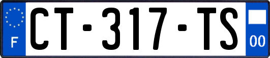 CT-317-TS