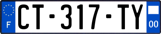 CT-317-TY