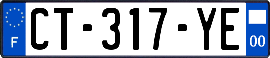 CT-317-YE