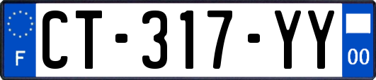 CT-317-YY