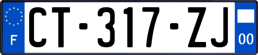 CT-317-ZJ