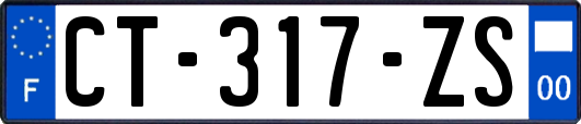 CT-317-ZS