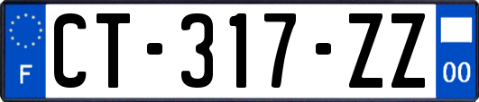 CT-317-ZZ