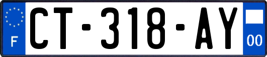 CT-318-AY