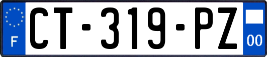 CT-319-PZ