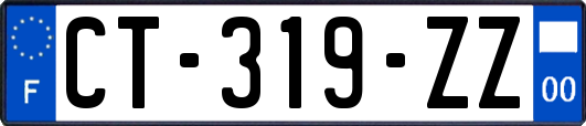 CT-319-ZZ