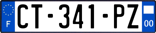 CT-341-PZ