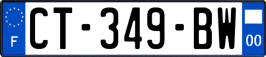 CT-349-BW