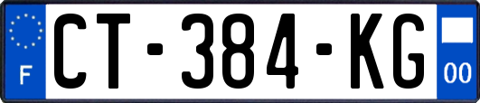 CT-384-KG