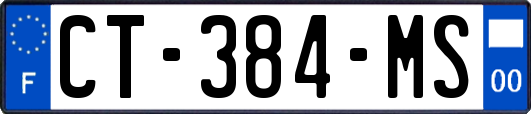 CT-384-MS