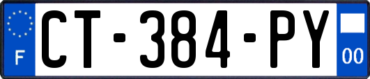 CT-384-PY